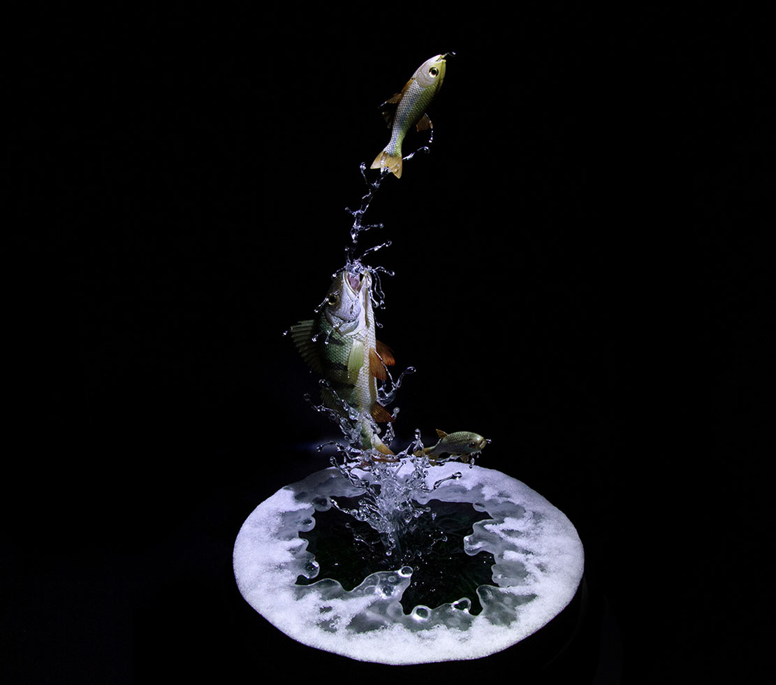 Snake, Schlange, Toad, Kröte, Cornel, Schneider, Boxwood, Buchsbaum, jpeg, jpg, scuplture, Schnitzerei, Carving, okimono