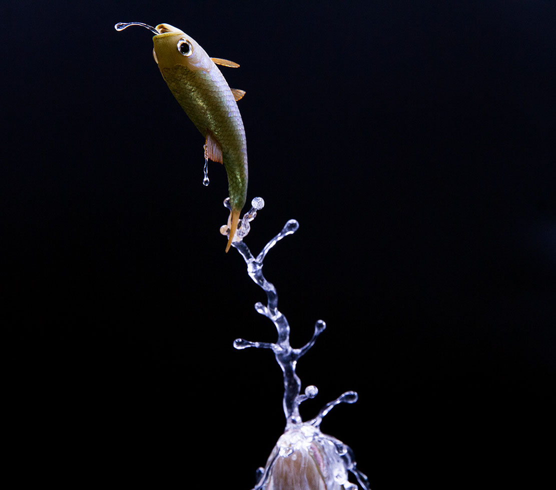 viper around branch, Cornel, Schneider, Boxwood, Buchsbaum,  jpeg, jpg, scuplture, Schnitzerei, Carving, okimono