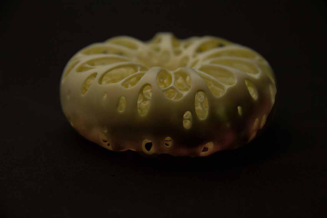 treefrog, Baumfrosch,Cornel, Schneider, Boxwood, Buchsbaum,&nbsp; jpeg, jpg, scuplture, Schnitzerei, Carving, netsuke, okimono