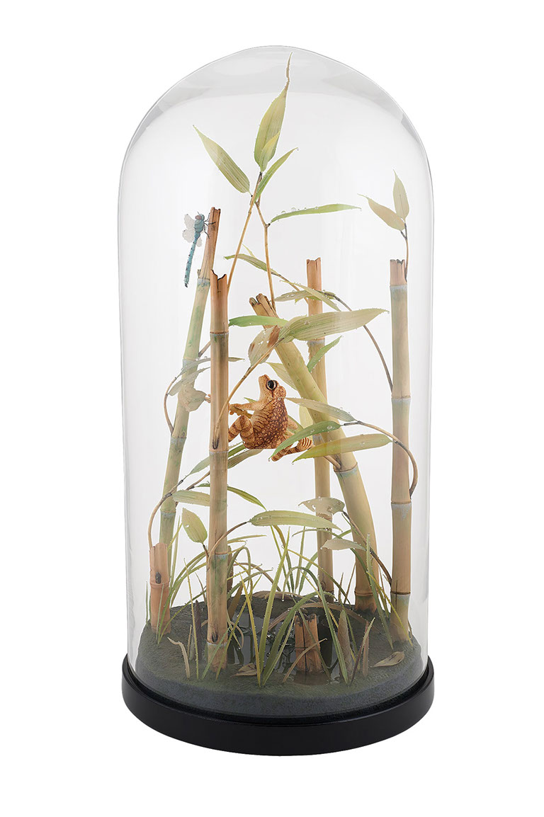 toad on lotusleaf, Kröte, Cornel, Schneider, Boxwood, Buchsbaum, Acrylglas, Ivory, jpeg, jpg, scuplture, Schnitzerei, Carving, okimono