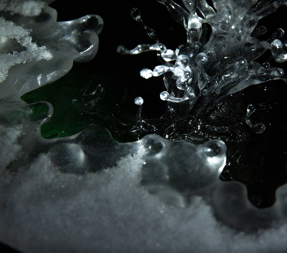 Eisvogel, Kingfisher, Watersplash, Hunting, Fish, Cornel, Schneider, Boxwood, Buchsbaum, jpeg, jpg, scuplture, Schnitzerei, Carving, okimono