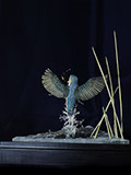 Eisvogel, Kingfisher, Watersplash, Hunting, Fish, Cornel, Schneider, Boxwood, Buchsbaum, jpeg, jpg, scuplture, Schnitzerei, Carving, okimono