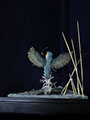 Eisvogel, Kingfisher, Watersplash, Hunting, Fish, Cornel, Schneider, Boxwood, Buchsbaum, jpeg, jpg, scuplture, Schnitzerei, Carving, okimono