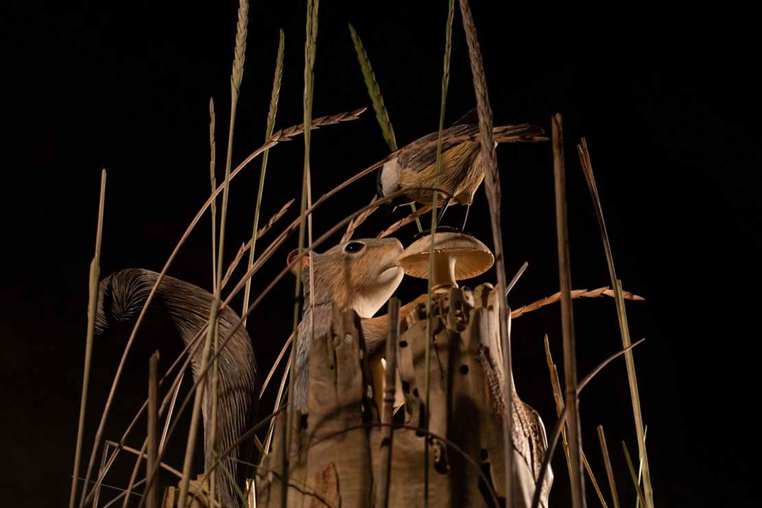 Snake, Schlange, Toad, Kröte, Cornel, Schneider, Boxwood, Buchsbaum, jpeg, jpg, scuplture, Schnitzerei, Carving, okimono