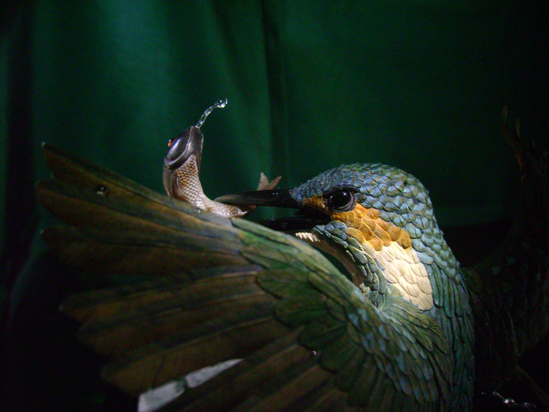 Eisvogel, Kingfisher, Watersplash, Hunting, Fish, Cornel, Schneider, Boxwood, Buchsbaum, jpeg, jpg, scuplture, Schnitzerei, Carving, okimono