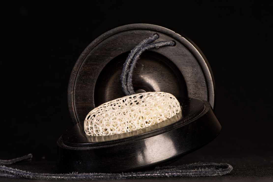 LIZARD ON SNAILHOUSE, Eidechse, Schneckenhaus, Cornel, Schneider, Boxwood, Buchsbaum,&nbsp; jpeg, jpg, scuplture, Schnitzerei, Carving, okimono