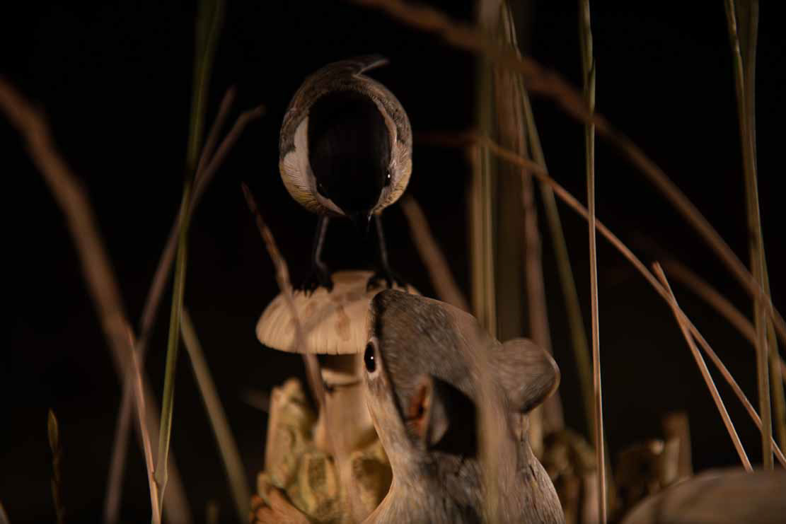 Snake, Schlange, Toad, Kröte, Cornel, Schneider, Boxwood, Buchsbaum, jpeg, jpg, scuplture, Schnitzerei, Carving, okimono