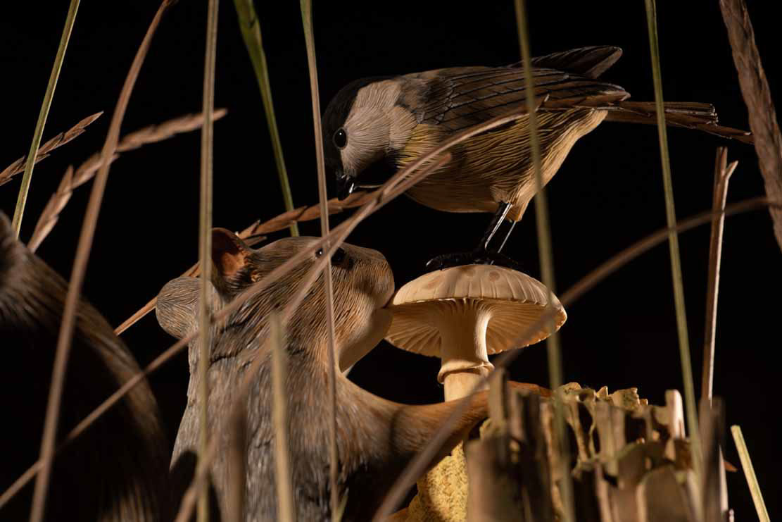 Snake, Schlange, Toad, Kröte, Cornel, Schneider, Boxwood, Buchsbaum, jpeg, jpg, scuplture, Schnitzerei, Carving, okimono