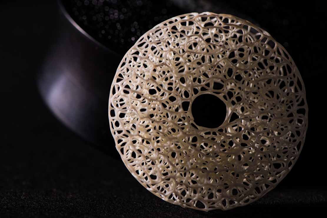 Dragonfly, libelle, Cornel, Schneider, Mammoth ivory, Mammut Elfenbein, Buffalo horn, jpeg, jpg, scuplture, Schnitzerei, Carving, objet d'art