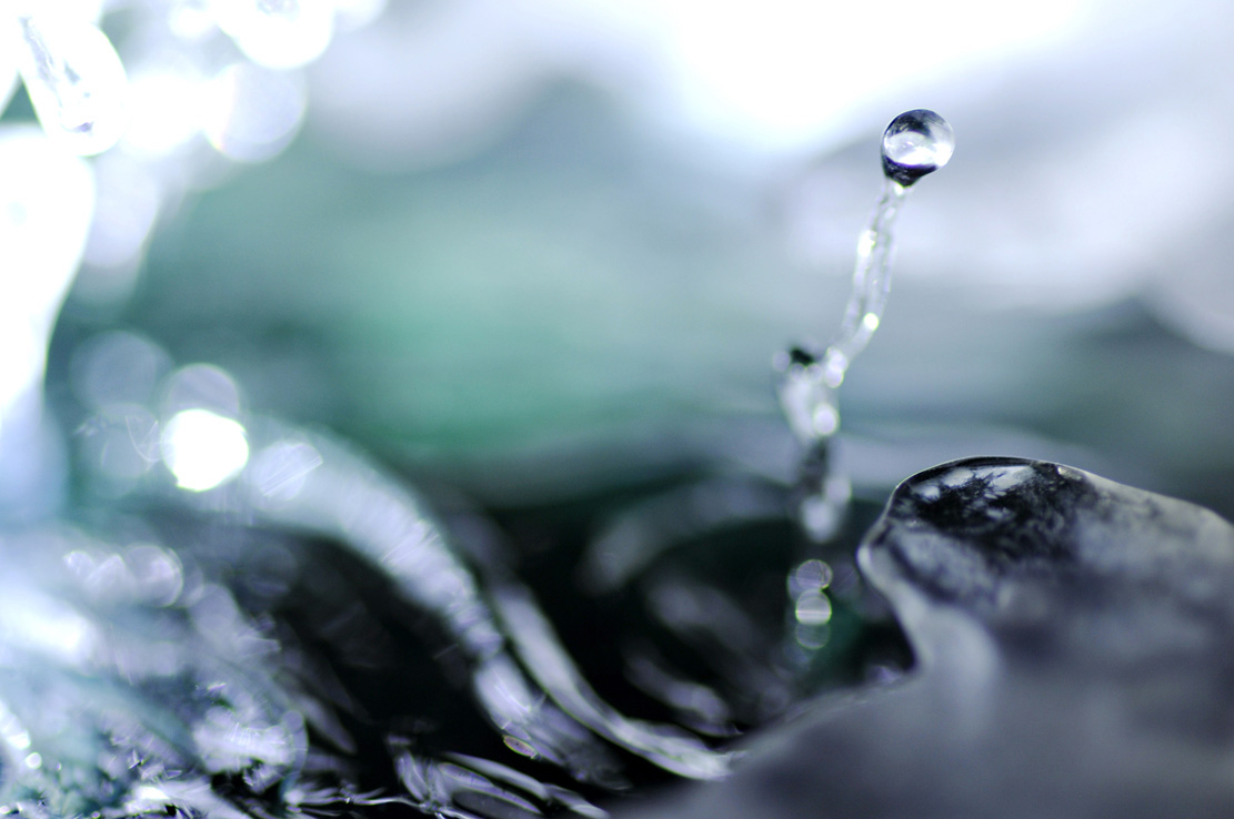 Eisvogel, Kingfisher, Watersplash, Hunting, Fish, Cornel, Schneider, Boxwood, Buchsbaum, jpeg, jpg, scuplture, Schnitzerei, Carving, okimono