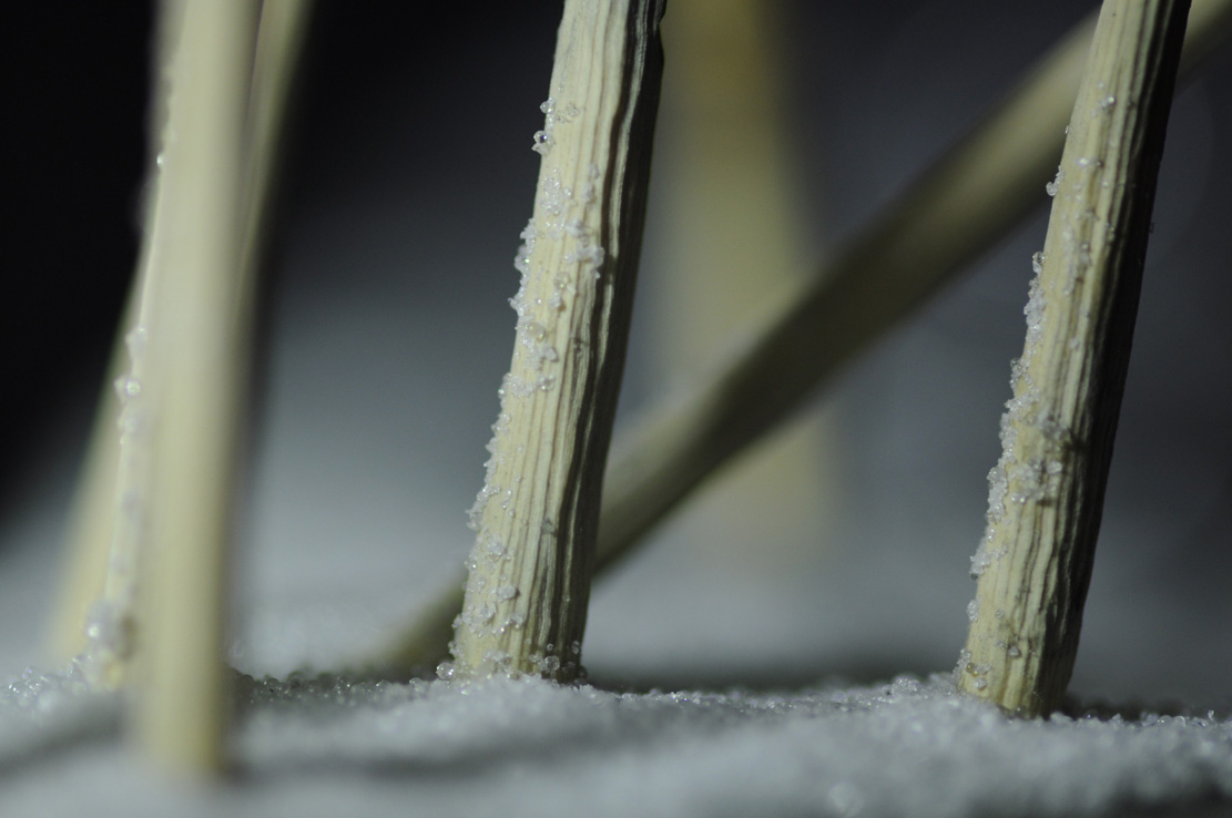 Old reed. altes Schilf, Snow, Ice, , Cornel, Schneider, Boxwood, Buchsbaum, jpeg, jpg, scuplture, Schnitzerei, Carving, okimono