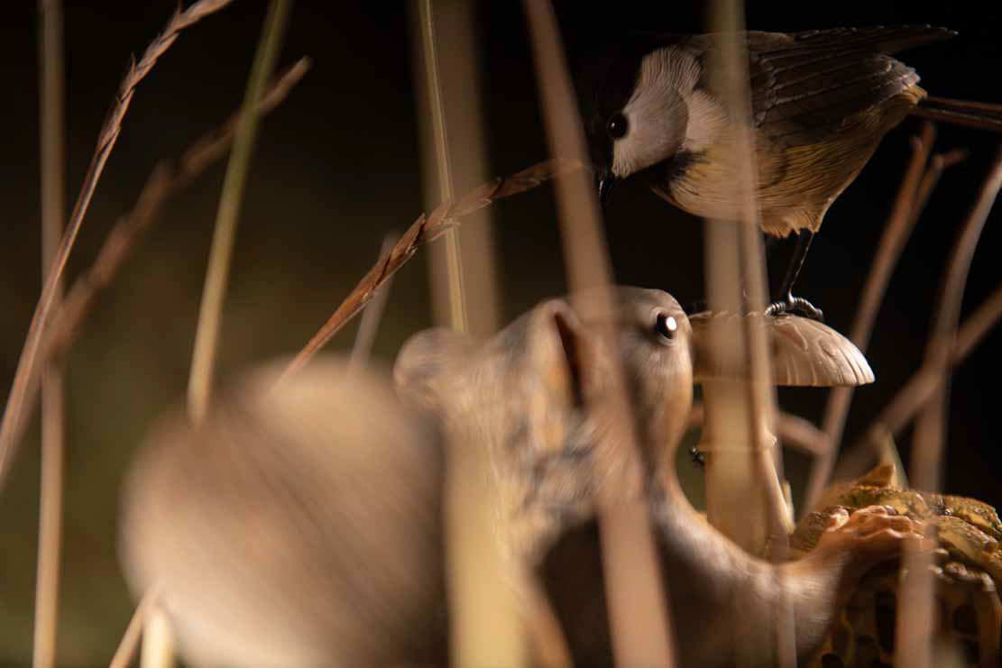 Snake, Schlange, Toad, Kröte, Cornel, Schneider, Boxwood, Buchsbaum, jpeg, jpg, scuplture, Schnitzerei, Carving, okimono