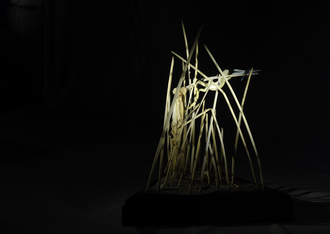 Catch me if you can,Libelle, Dragonfly, Eidechse, Lizard, Boxwood, Buchsbaum,&nbsp; jpeg, jpg, scuplture, Schnitzerei, Carving, okimono