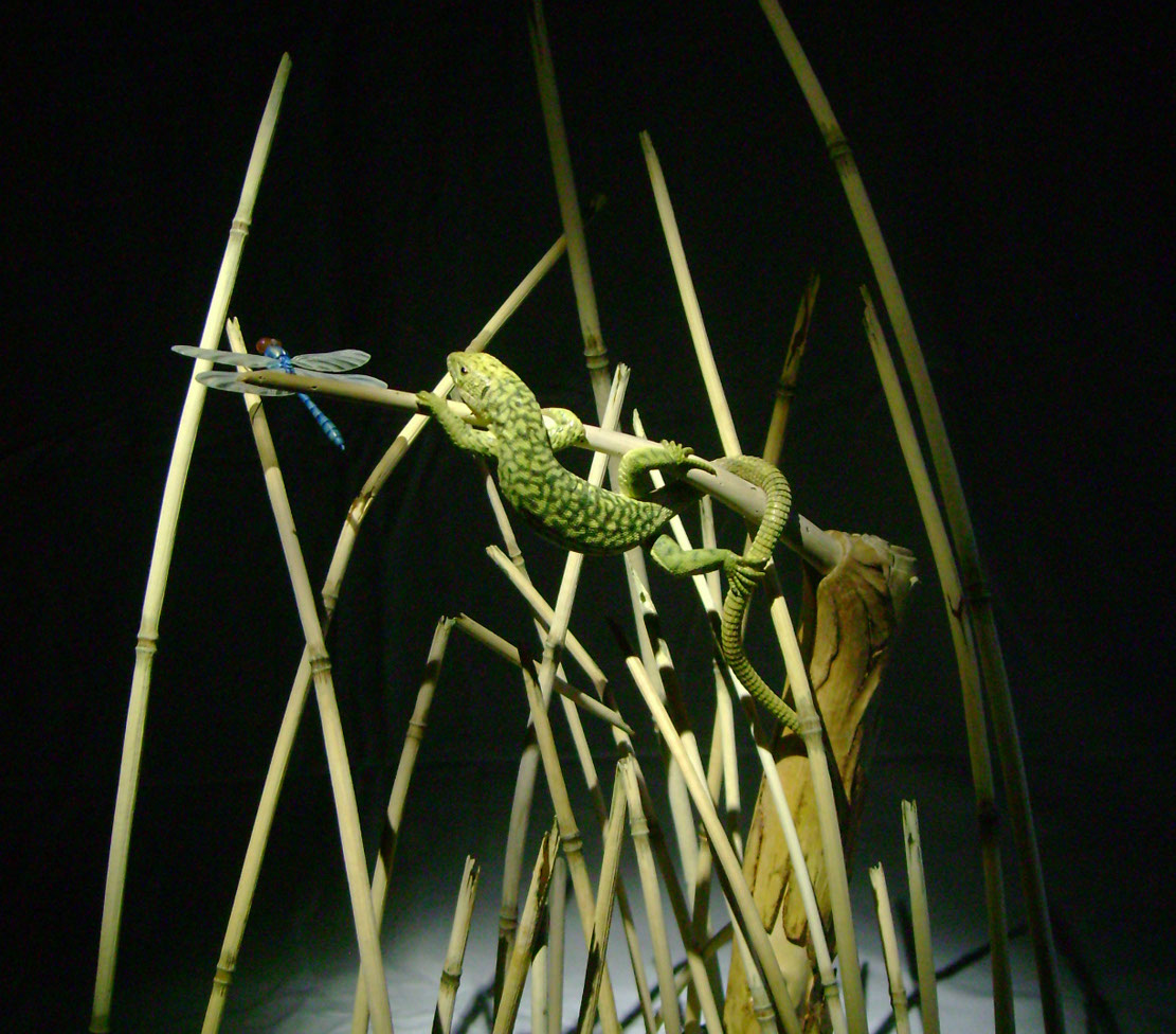 Catch me if you can,Libelle, Dragonfly, Eidechse, Lizard, Boxwood, Buchsbaum,&nbsp; jpeg, jpg, scuplture, Schnitzerei, Carving, okimono