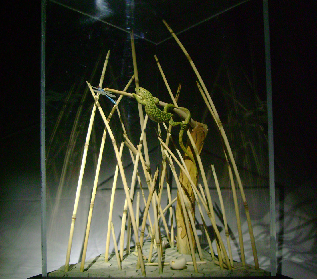 Catch me if you can,Libelle, Dragonfly, Eidechse, Lizard, Boxwood, Buchsbaum,&nbsp; jpeg, jpg, scuplture, Schnitzerei, Carving, okimono