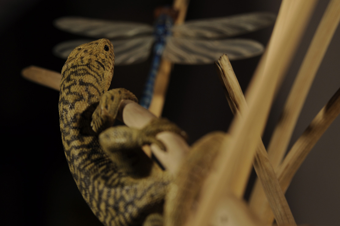 Catch me if you can,Libelle, Dragonfly, Eidechse, Lizard, Boxwood, Buchsbaum,&nbsp; jpeg, jpg, scuplture, Schnitzerei, Carving, okimono