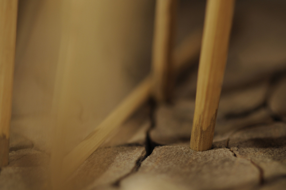 Catch me if you can,Libelle, Dragonfly, Eidechse, Lizard, Boxwood, Buchsbaum,&nbsp; jpeg, jpg, scuplture, Schnitzerei, Carving, okimono