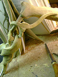 Catch me if you can, Eidechse, Lizard, Boxwood, Buchsbaum, tools, work in process,  jpeg, jpg, scuplture, Schnitzerei, Carving, okimono