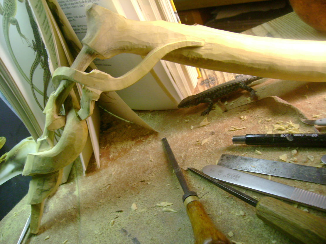Catch me if you can, Eidechse, Lizard, Boxwood, Buchsbaum, tools, work in process,&nbsp; jpeg, jpg, scuplture, Schnitzerei, Carving, okimono