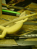 Catch me if you can, Eidechse, Lizard, Boxwood, Buchsbaum, tools, work in process,  jpeg, jpg, scuplture, Schnitzerei, Carving, okimono