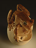 frog on snailhouse, Frosch, Schneckenhaus, Acrylglas,Cornel, Schneider, Boxwood, Buchsbaum,  jpeg, jpg, scuplture, Schnitzerei, Carving, netsuke