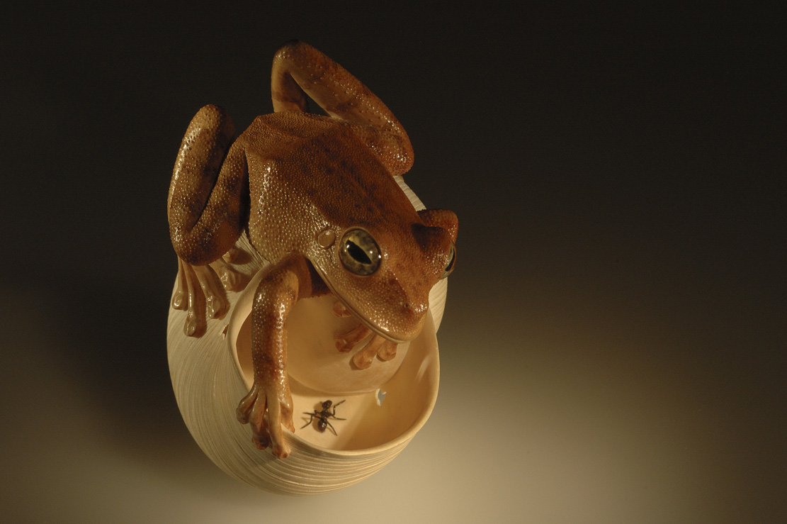 frog on snailhouse, Frosch, Schneckenhaus, Acrylglas,Cornel, Schneider, Boxwood, Buchsbaum,&nbsp; jpeg, jpg, scuplture, Schnitzerei, Carving, netsuke