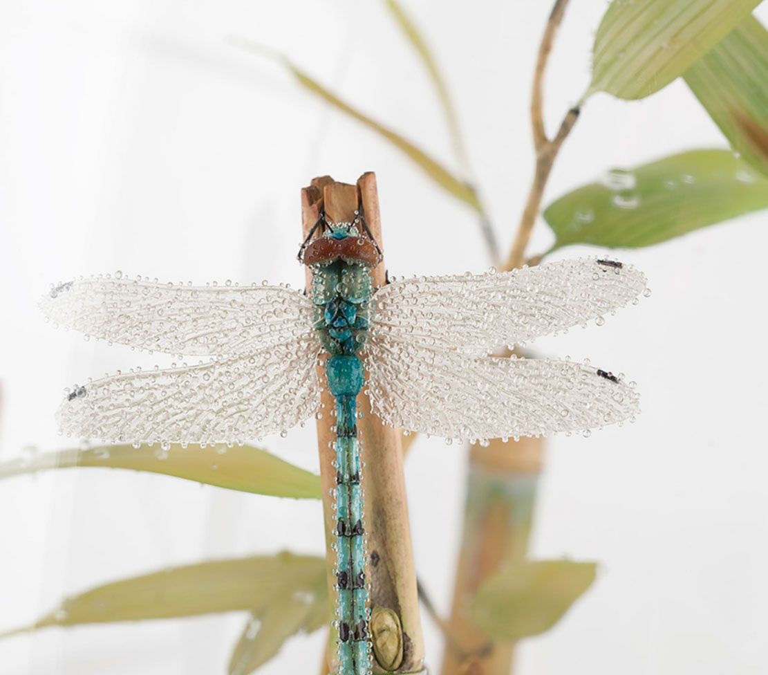 toad on lotusleaf, Kröte, Cornel, Schneider, Boxwood, Buchsbaum, Acrylglas, Ivory, jpeg, jpg, scuplture, Schnitzerei, Carving, okimono