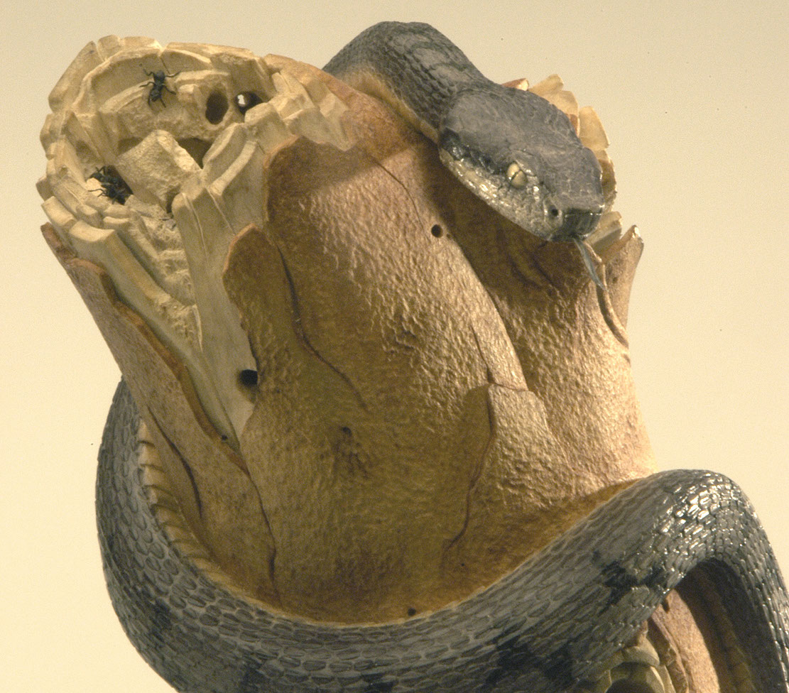 viper around branch, Cornel, Schneider, Boxwood, Buchsbaum,&nbsp; jpeg, jpg, scuplture, Schnitzerei, Carving, okimono