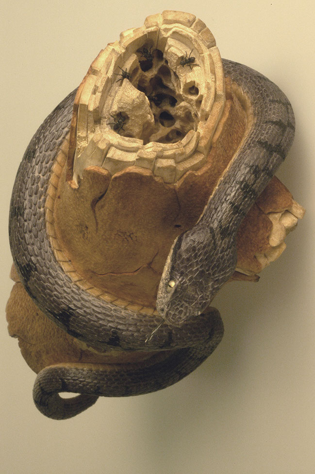 viper around branch, Cornel, Schneider, Boxwood, Buchsbaum,&nbsp; jpeg, jpg, scuplture, Schnitzerei, Carving, okimono