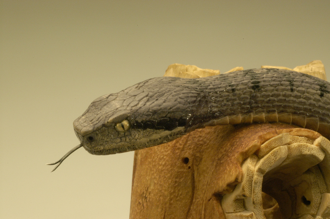 viper around branch, Cornel, Schneider, Boxwood, Buchsbaum,&nbsp; jpeg, jpg, scuplture, Schnitzerei, Carving, okimono