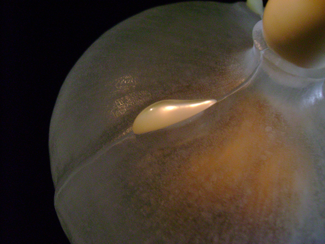 The nude, Akt, Cornel, Schneider, Boxwood, Buchsbaum,&nbsp; acrylglass, ivory jpeg, jpg, scuplture, Schnitzerei, Carving, okimono