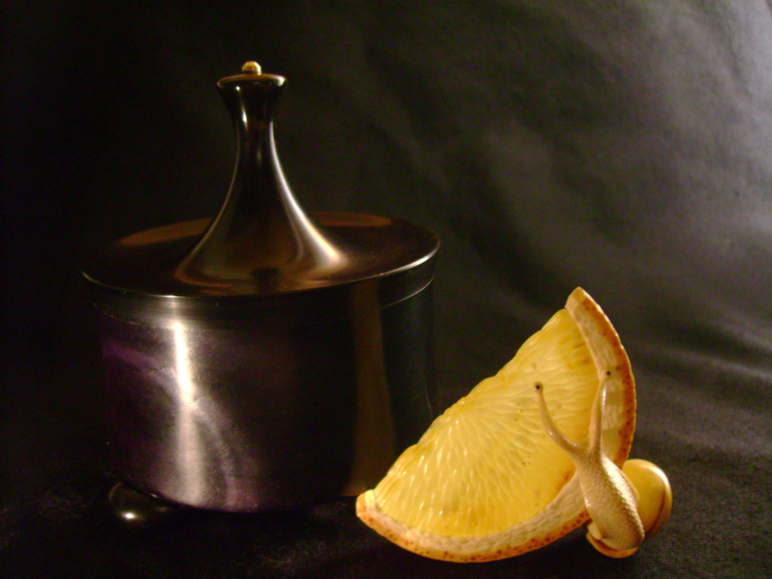 orangesnail, Cornel, Schneider, Boxwood, Buchsbaum,&nbsp; amber, bernstein, ebony, jpeg, jpg, scuplture, Schnitzerei, Carving, netsuke