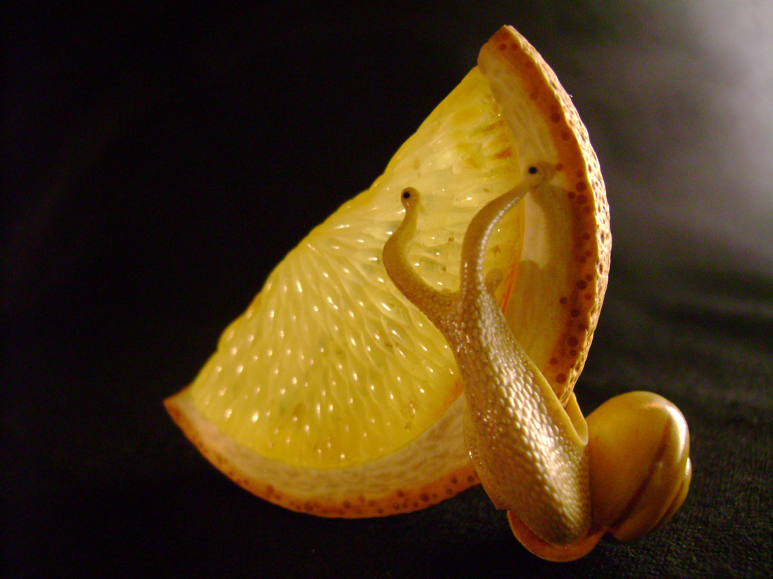 orangesnail, Cornel, Schneider, Boxwood, Buchsbaum,&nbsp; amber, bernstein, ebony, jpeg, jpg, scuplture, Schnitzerei, Carving, netsuke