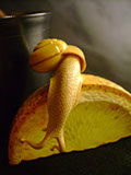 orangesnail, Cornel, Schneider, Boxwood, Buchsbaum,  amber, bernstein, ebony, jpeg, jpg, scuplture, Schnitzerei, Carving, netsuke