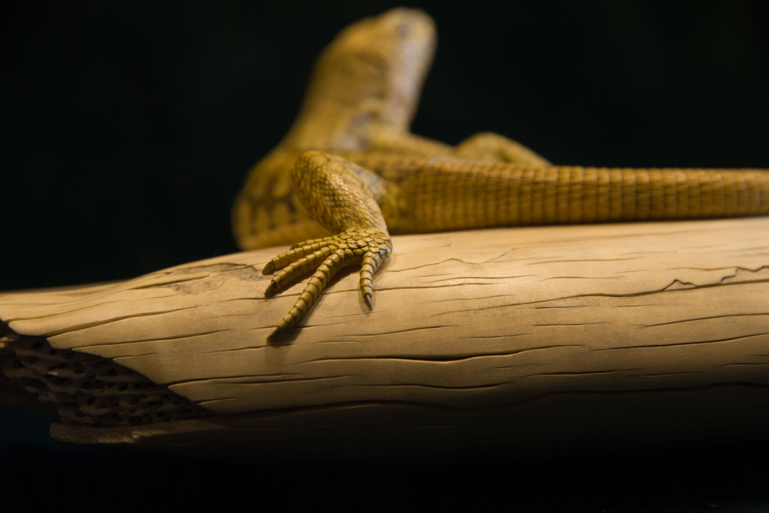 Snake, Schlange, Toad, Kröte, Cornel, Schneider, Boxwood, Buchsbaum, jpeg, jpg, scuplture, Schnitzerei, Carving, okimono