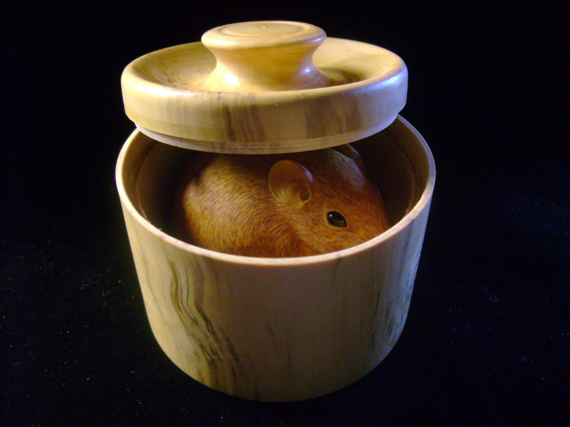 HOMMAGE À TOMOKAZU, rat, ratte, box, Cornel, Schneider, Boxwood, Buchsbaum,&nbsp; jpeg, jpg, scuplture, Schnitzerei, Carving, netsuke