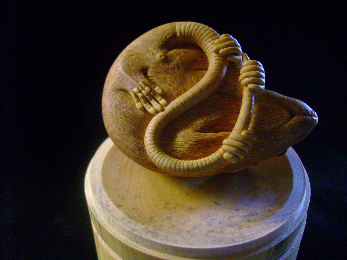 HOMMAGE À TOMOKAZU, rat, ratte, box, Cornel, Schneider, Boxwood, Buchsbaum,&nbsp; jpeg, jpg, scuplture, Schnitzerei, Carving, netsuke