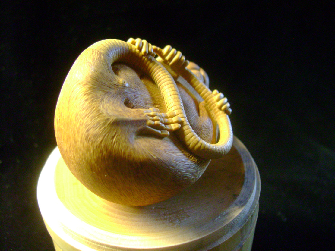 HOMMAGE À TOMOKAZU, rat, ratte, box, Cornel, Schneider, Boxwood, Buchsbaum,&nbsp; jpeg, jpg, scuplture, Schnitzerei, Carving, netsuke