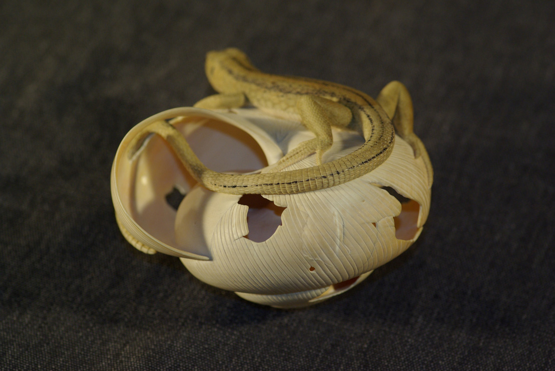 LIZARD ON SNAILHOUSE, Eidechse, Schneckenhaus, Cornel, Schneider, Boxwood, Buchsbaum,&nbsp; jpeg, jpg, scuplture, Schnitzerei, Carving, okimono