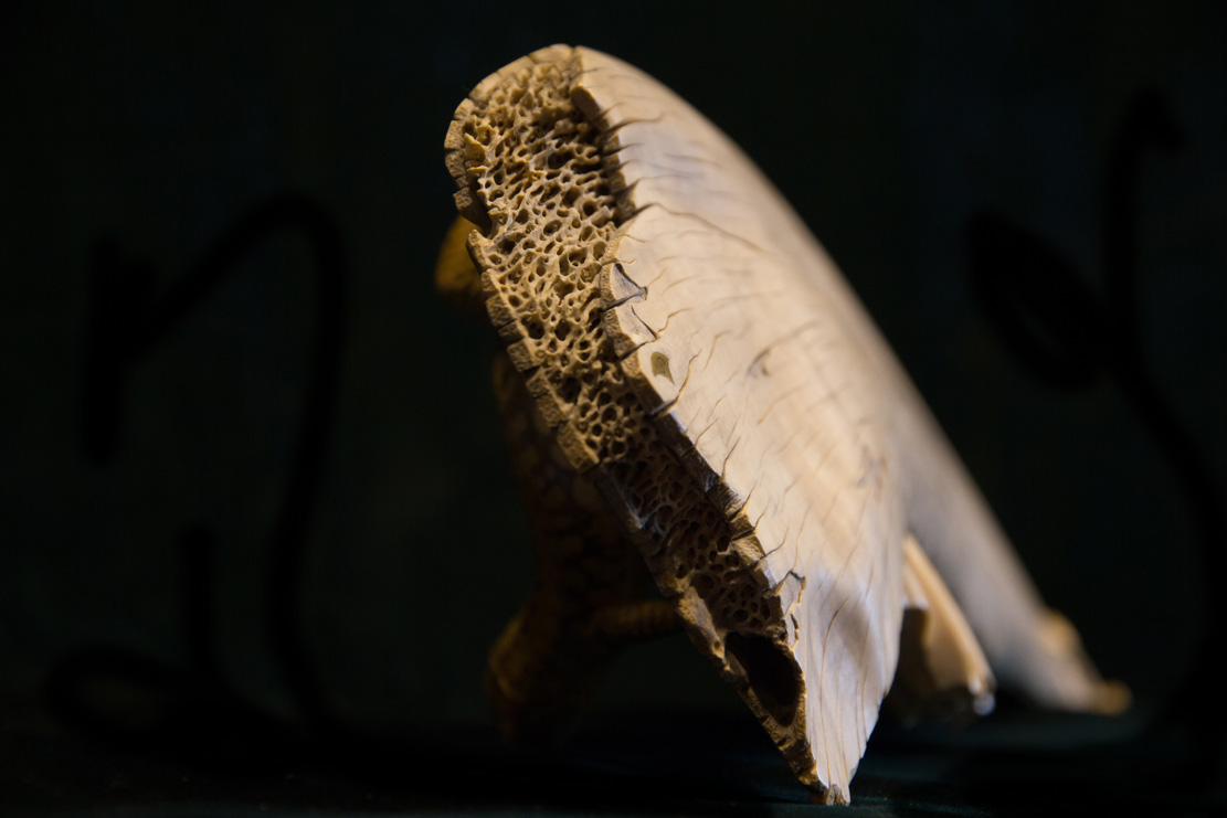 Snake, Schlange, Toad, Kröte, Cornel, Schneider, Boxwood, Buchsbaum, jpeg, jpg, scuplture, Schnitzerei, Carving, okimono