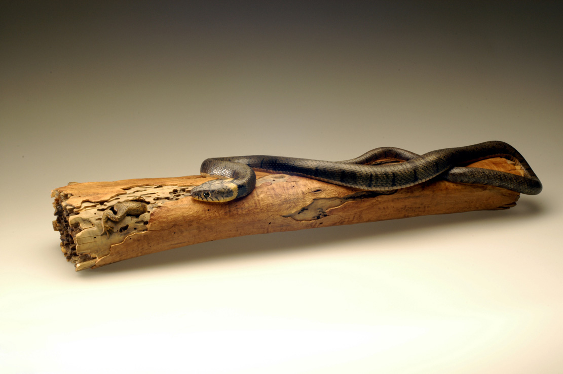 Natrix-Natrix, Ringelnatter, Grass snake, rindged, Cornel, Schneider, Boxwood, Buchsbaum,&nbsp; jpeg, jpg, scuplture, Schnitzerei, Carving, okimono