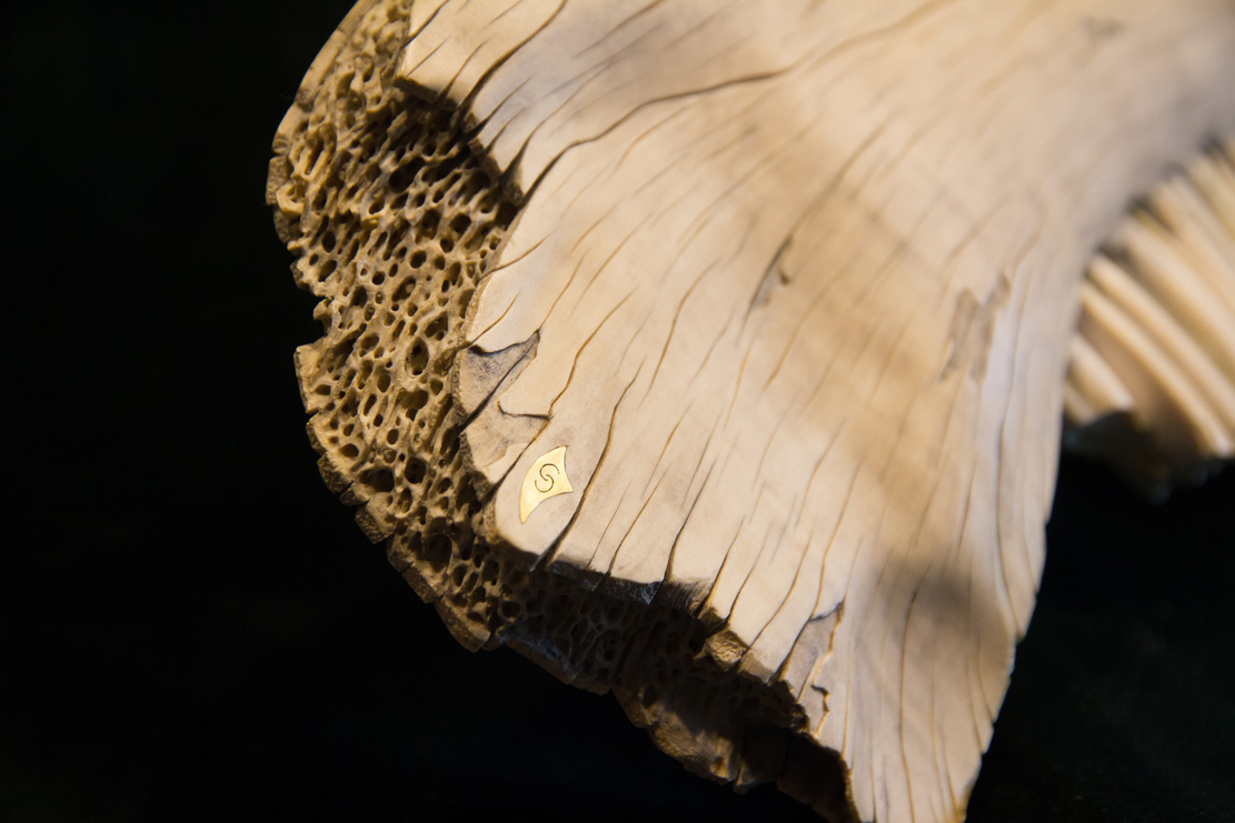 Snake, Schlange, Toad, Kröte, Cornel, Schneider, Boxwood, Buchsbaum, jpeg, jpg, scuplture, Schnitzerei, Carving, okimono