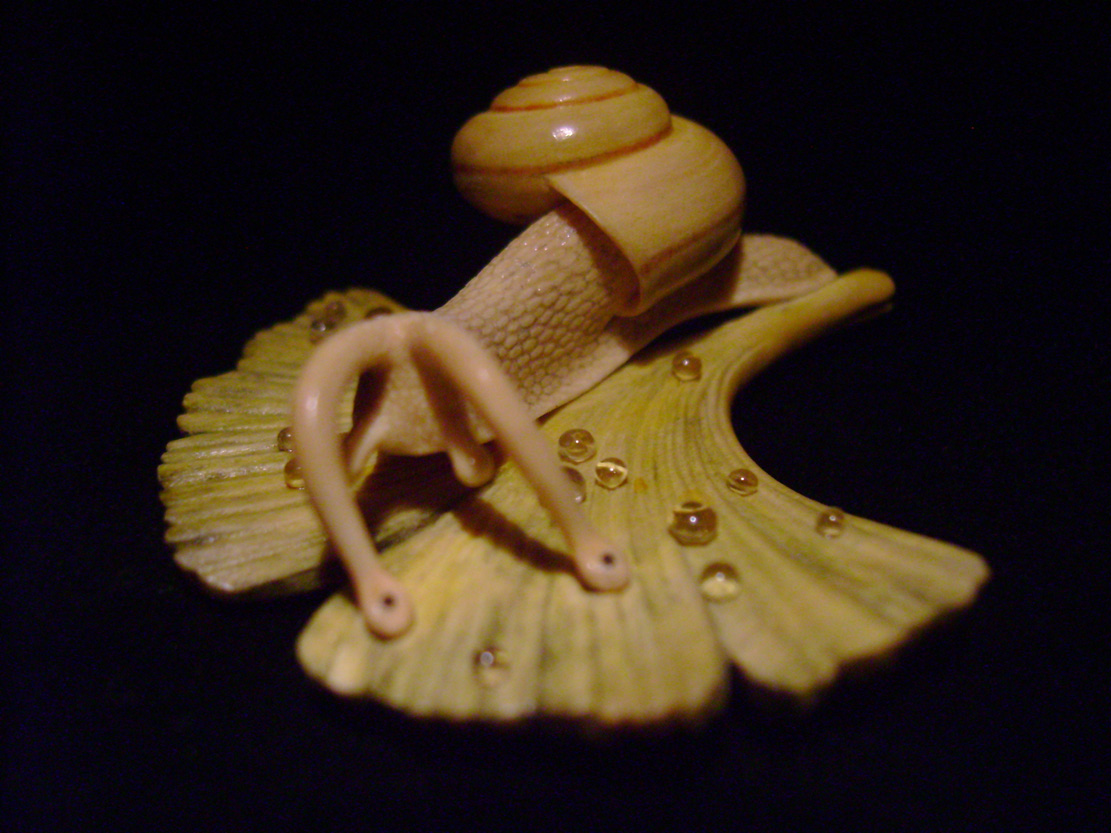 Snail on Gingkoleaf, schnecke, Ginkoblatt, Dewdrop, Cornel, Schneider, Boxwood, Buchsbaum,&nbsp; jpeg, jpg, scuplture, Schnitzerei, Carving, netsuke 