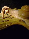 Snail on Gingkoleaf, schnecke, Ginkoblatt, Dewdrop, Cornel, Schneider, Boxwood, Buchsbaum,  jpeg, jpg, scuplture, Schnitzerei, Carving, netsuke 