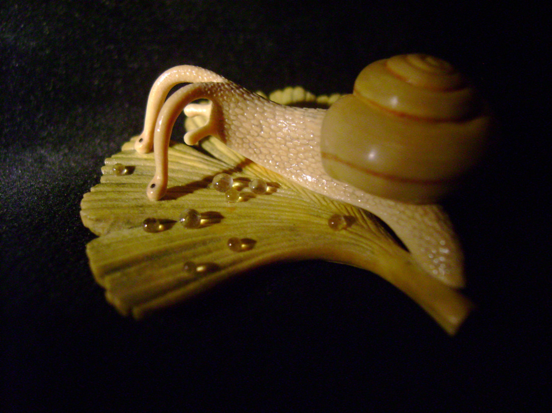 Snail on Gingkoleaf, schnecke, Ginkoblatt, Dewdrop, Cornel, Schneider, Boxwood, Buchsbaum,&nbsp; jpeg, jpg, scuplture, Schnitzerei, Carving, netsuke 