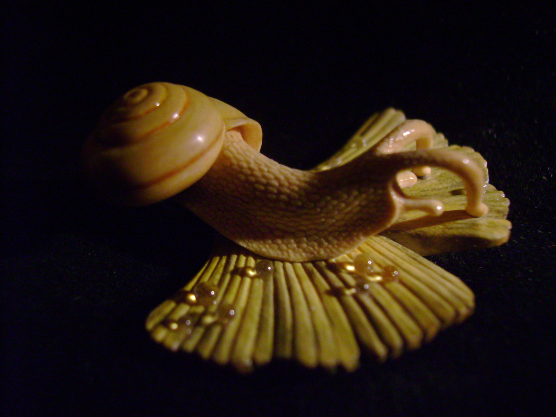 Snail on Gingkoleaf, schnecke, Ginkoblatt, Dewdrop, Cornel, Schneider, Boxwood, Buchsbaum,&nbsp; jpeg, jpg, scuplture, Schnitzerei, Carving, netsuke 