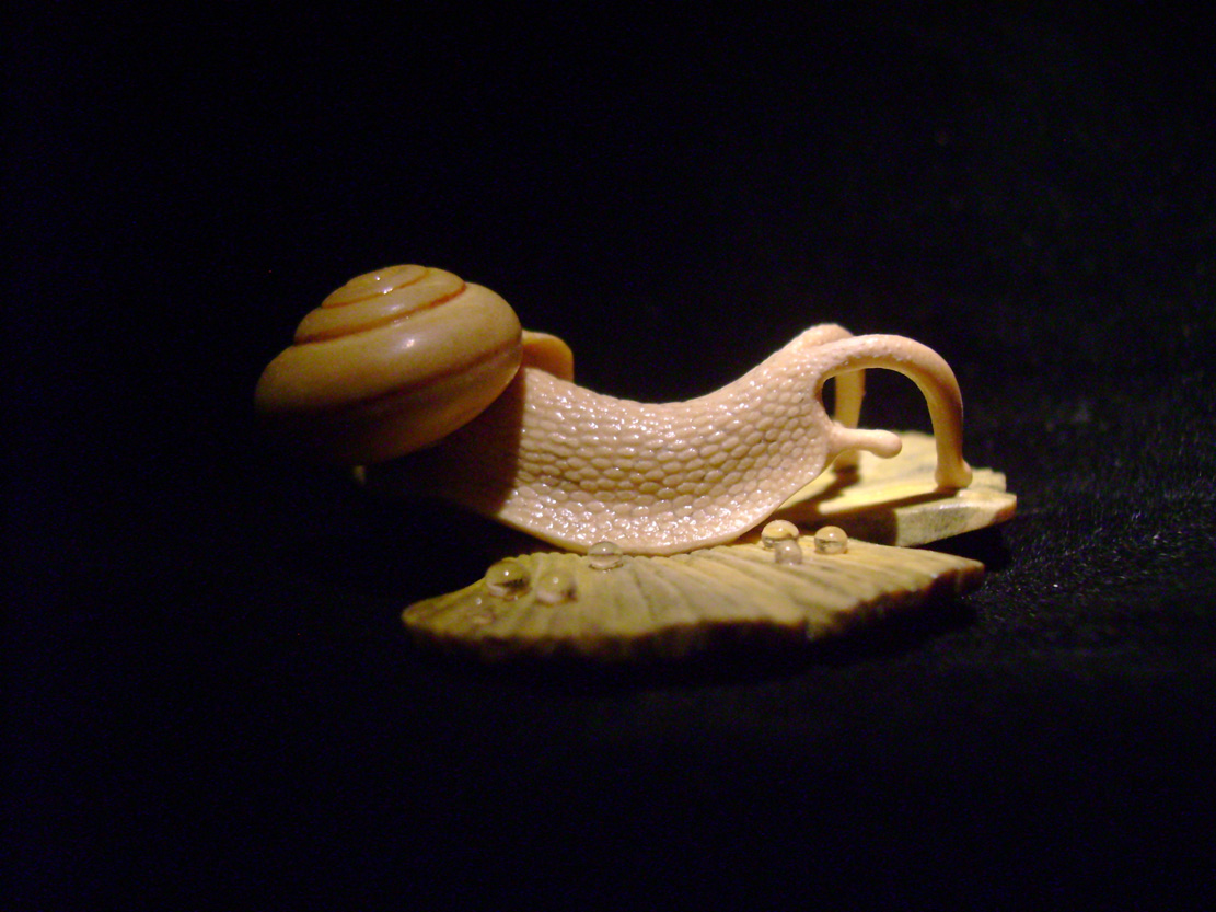 Snail on Gingkoleaf, schnecke, Ginkoblatt, Dewdrop, Cornel, Schneider, Boxwood, Buchsbaum,&nbsp; jpeg, jpg, scuplture, Schnitzerei, Carving, netsuke 