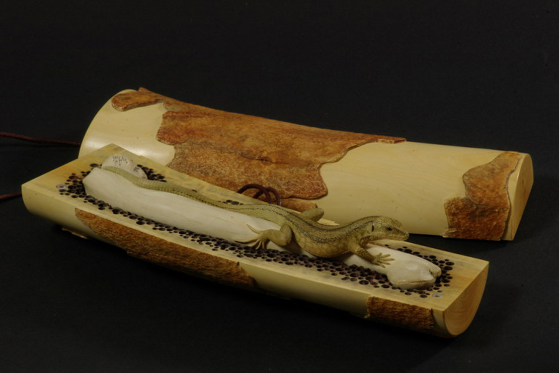 LIZARD ON BONE, Eidechse, Knochen, Cornel, Schneider, Boxwood, Buchsbaum,&nbsp; jpeg, jpg, scuplture, Schnitzerei, Carving, sashi, netsuke, 