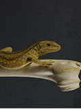 LIZARD ON BONE, Eidechse, Knochen, Cornel, Schneider, Boxwood, Buchsbaum,  jpeg, jpg, scuplture, Schnitzerei, Carving, sashi, netsuke, 